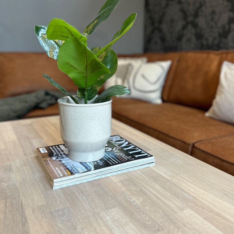 Orust Sofabord massiv hvitoljet heltre eik 120x60x48