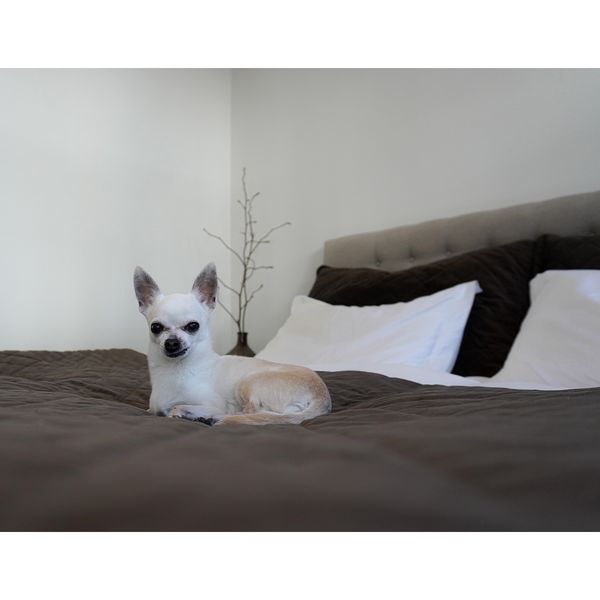 Hovedbilde Arctic Premium I 140x200 Kontinentalseng 